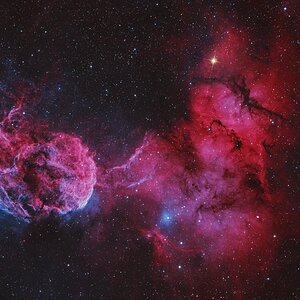 IC443
