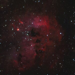 IC410 - Kaulquappennebel