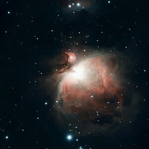 M42