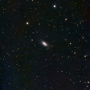 NGC2903