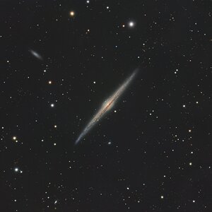 NGC4565 - Nadelgalaxie