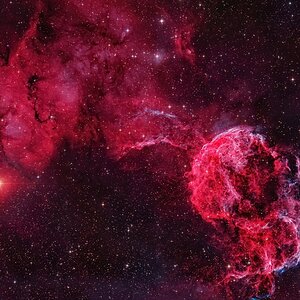 IC443