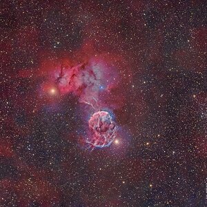 IC443 - Widefield