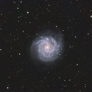 NGC3184, Little Pinwheel Galaxy