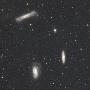 Leo Triplett