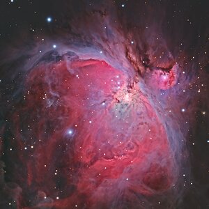 M42 Orion