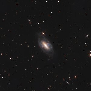 NGC 2685 (Arp 336), die Helix-Galaxie