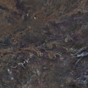 MosaikimStier_20260208_Compress.jpg