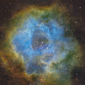 Geformt durch junge Sterne – Rosettennebel um NGC 2244
