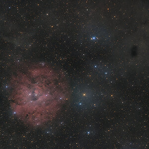 SH2-170 mit LDN 1263