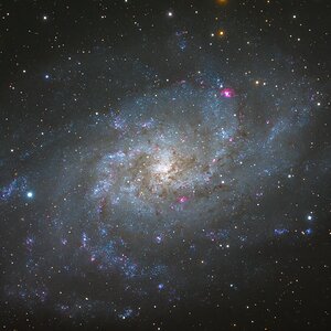 M33