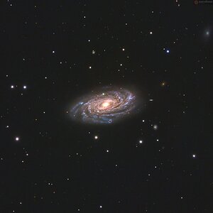 Ngc 3953
