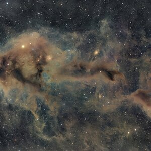 LDN 1251 – Dunkelwolke im Cepheus