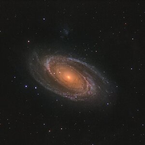 M81 rework