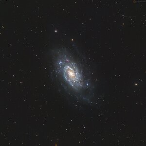 NGC 2403