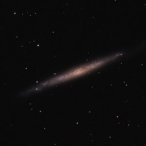 NGC 4244 - Die Silbernadelgalaxie