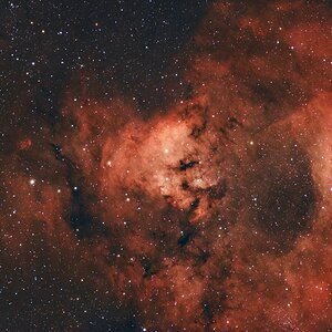 NGC 7822 - Teddybärnebel (Teil des kosmischen Fragezeichens)