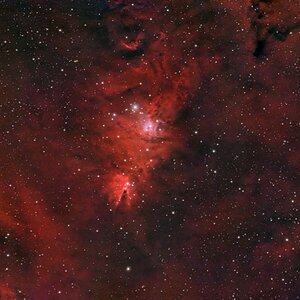 NGC_2264-F.jpg