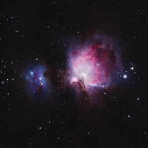 M42_Orion_2026-02-19.jpeg