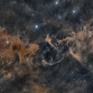 Staub und Streulicht im Cepheus – LDN 1228 mit LBN 552, 555 und 590