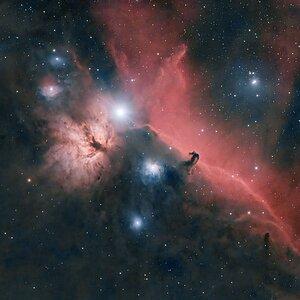 Flammen- und Pferdekopfnebel im Orion