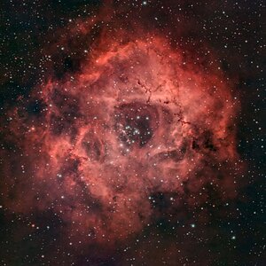 NGC2237-B.jpg