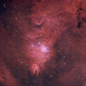DW3_NGC2264_307x30_DNB_20.01.2026.jpg