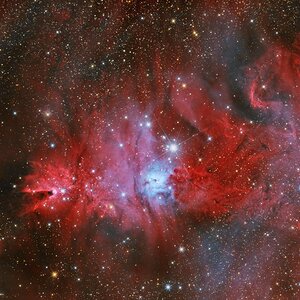 NGC2264_72x120UVIR_41x300DNB_18.02.2025.jpg