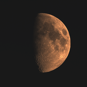 Mond