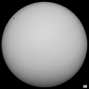 100-7692  MF AE 26022026 1136 UTC.jpg