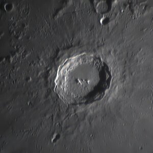m260226RF4.jpg