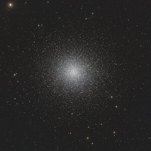 M13.jpg