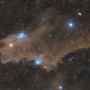 Der Haifisch im Cepheus – LDN 1235