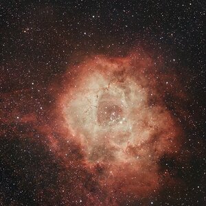 NGC 2237 - Rosettennebel