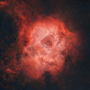 NGC 2238_LS4_02.jpg