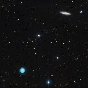 Die Eule und das Surfboard (M97&M108)