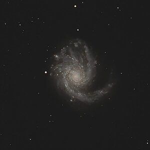 M99.jpg