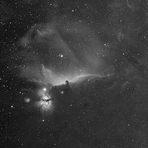 Pferdekopfnebel_Orion_03032026.jpg