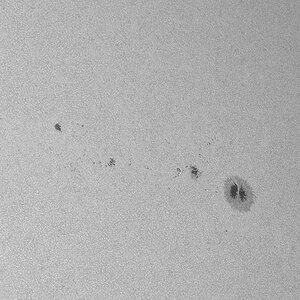 Fleckengruppen am Westrand der Sonne.
