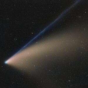C 2020 F3 NEOWISE – Schweif aus Staub und Plasma