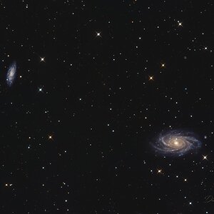 NGC 2336 mit IC 467 in der Giraffe