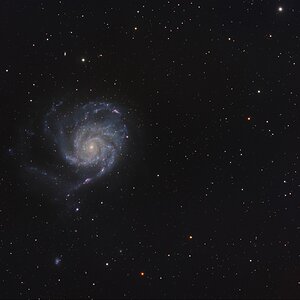 M101