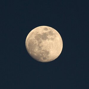 Abendmond