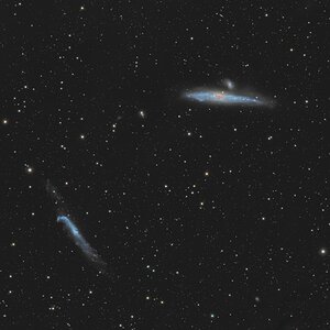 ngc 4656 / ngc 4631