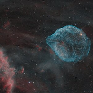 Dolphin Head Sh2-308