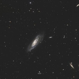 Messier 106 und Nachbarn