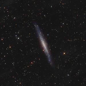 Die Galaxie NGC 1560
