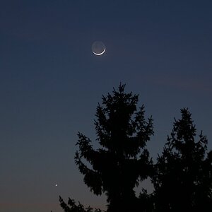 Mondsichel bei Venus