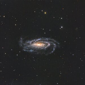 Ngc 5033