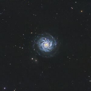 Ngc 3344